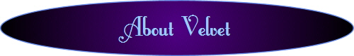 About Velvet