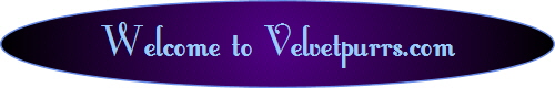 Welcome to Velvetpurrs.com